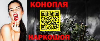 прущие грибы Можайск