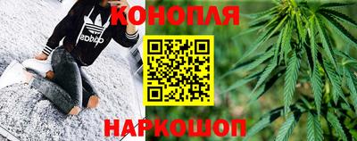 прущие грибы Можайск