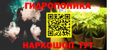 прущие грибы Можайск